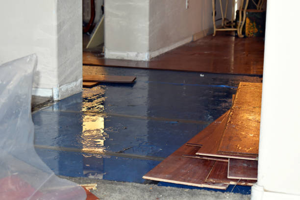 Professional Sewage Cleanup technician working in Cortland, OH