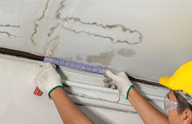 Reliable Sewage Cleanup contractor in Cortland, OH by Water Damage Irwin